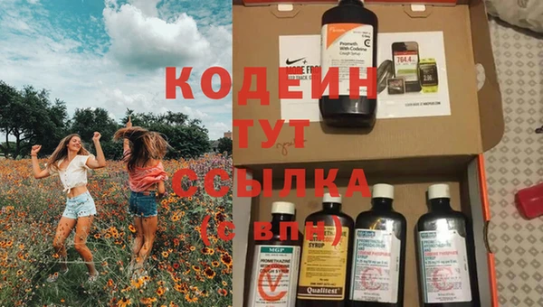 прущие грибы Белокуриха
