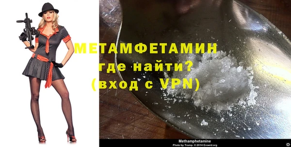 прущие грибы Белокуриха