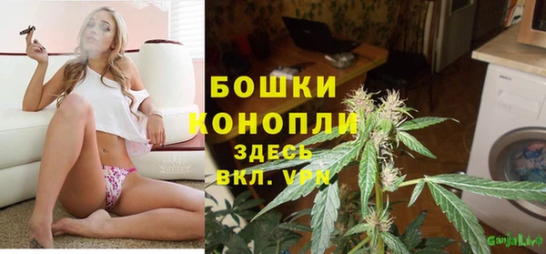 прущие грибы Белокуриха