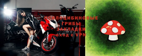 прущие грибы Белокуриха