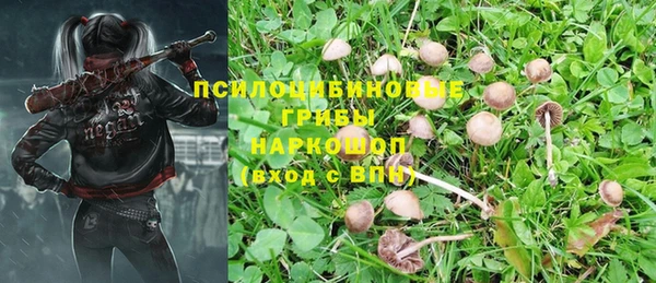 прущая мука Беломорск