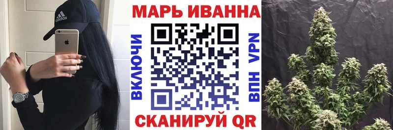 Каннабис план  как найти наркотики  Кондрово 